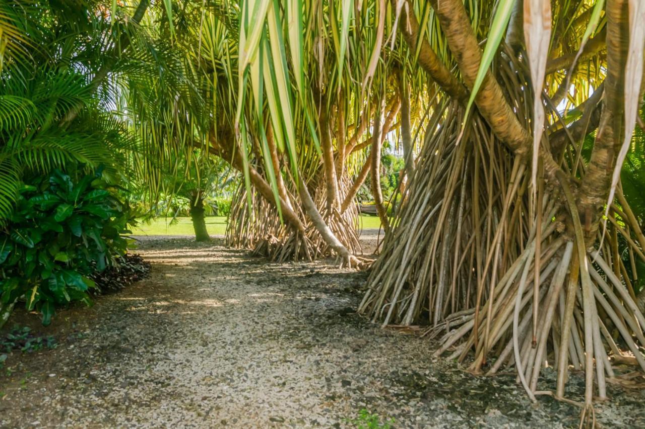 Aroha Taveuni Beachfront Bures Waiyevo Εξωτερικό φωτογραφία