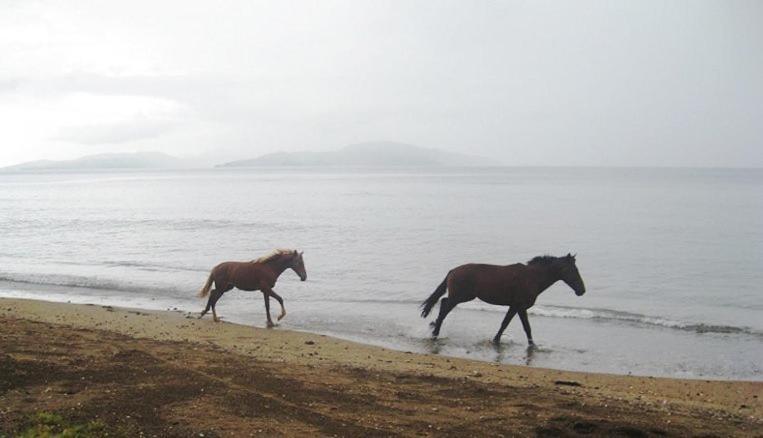 Aroha Taveuni Beachfront Bures Waiyevo Εξωτερικό φωτογραφία